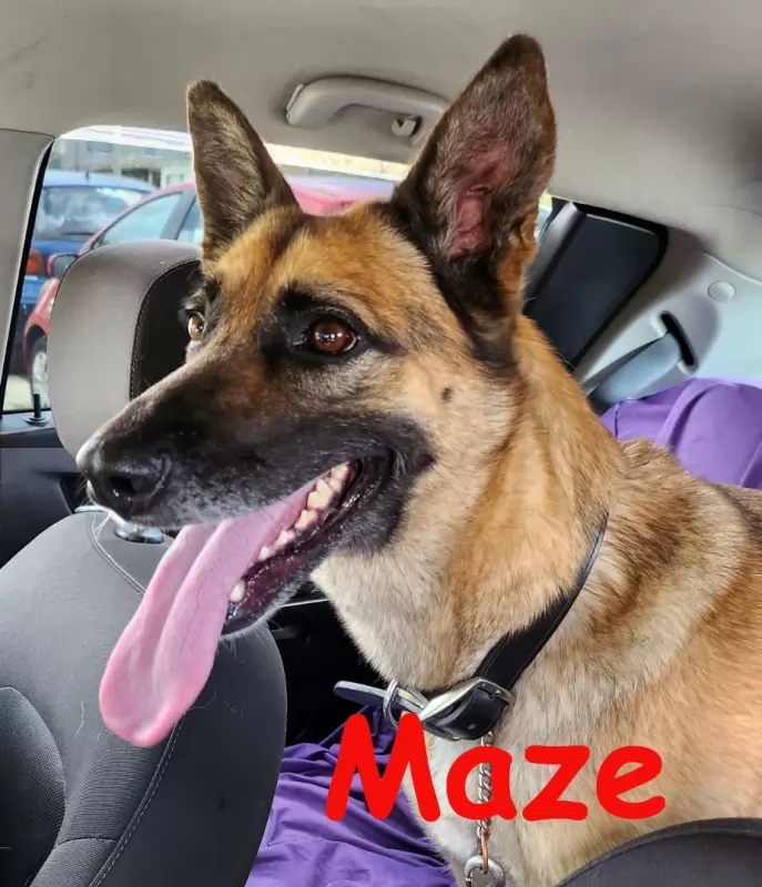 Maze or Mazie