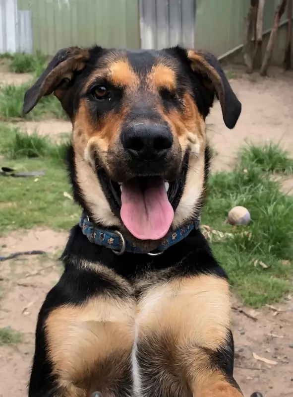 Sam