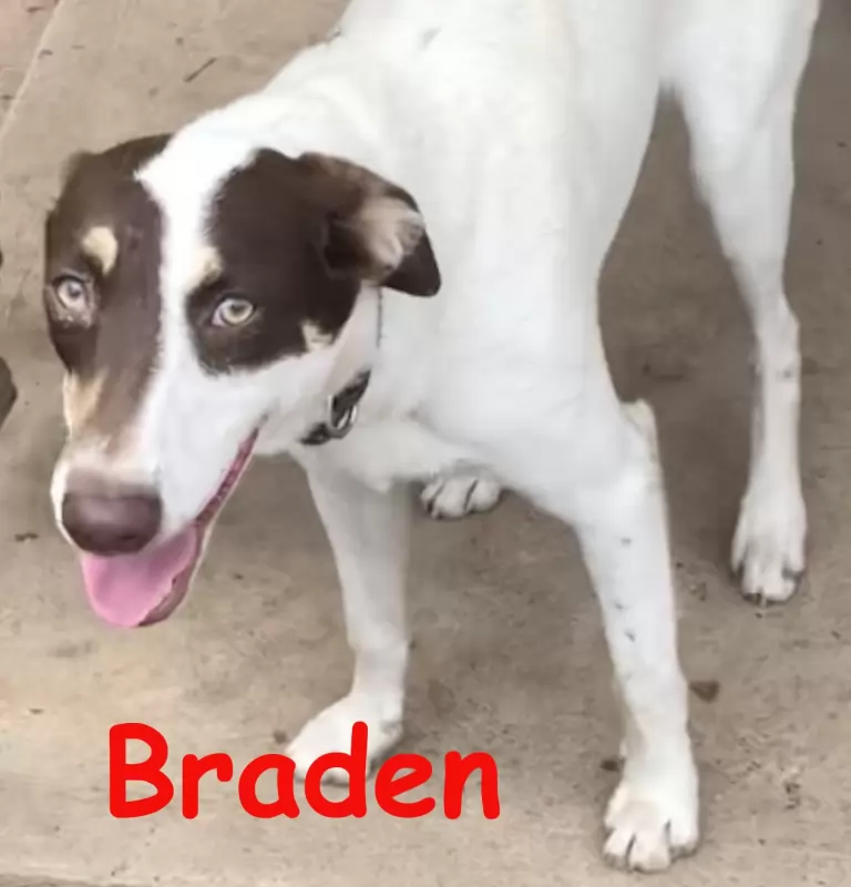 Branden