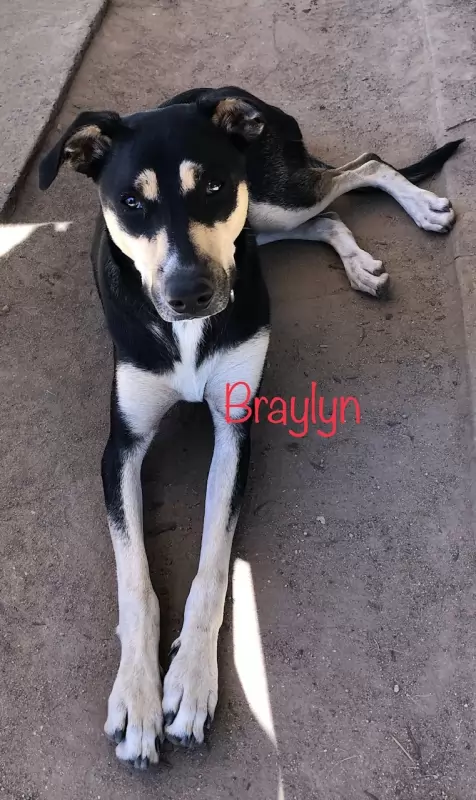 Braylyn