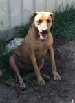 Roxy